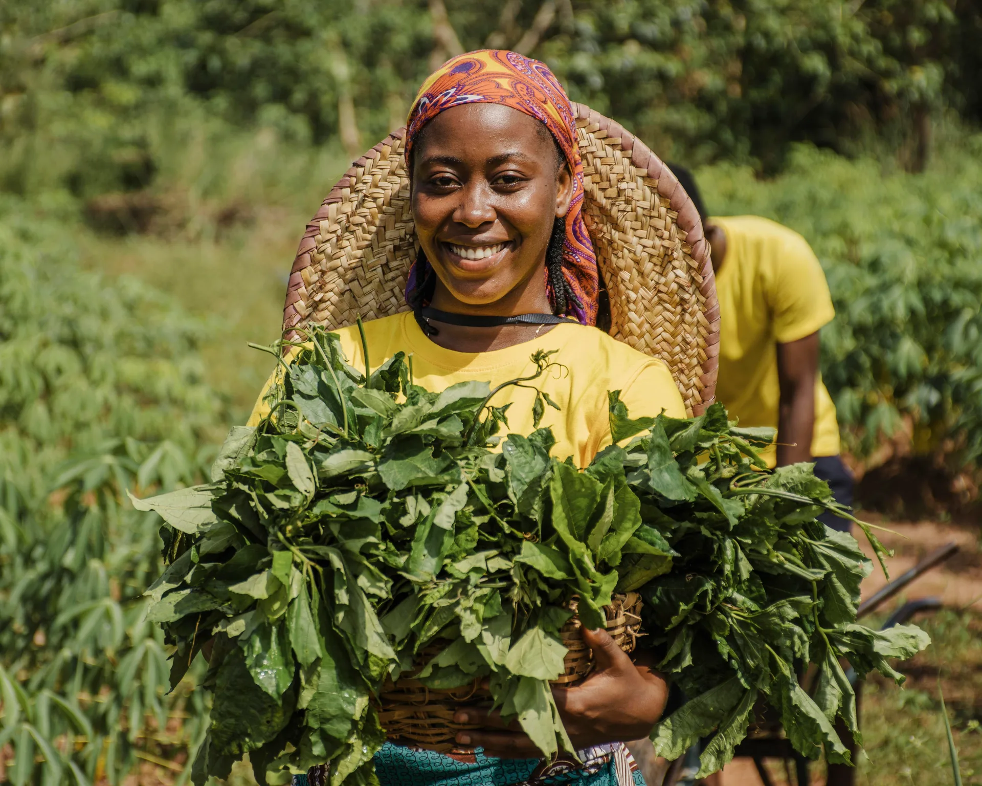 Ama — Conseillère Agricole